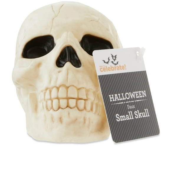 Way To Celebrate Set of Six Plastic Skull Decor Pieces Walmart 2025 Halloween - Picture 9 of 11
